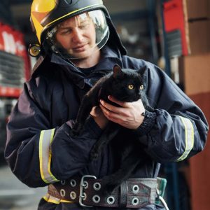 a-fireman-dressed-in-ppe-holding-a-cat